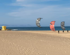 Duotone Neo SLS Kiteboarding Kite 2022 -Dakine Sale Screen Shot 2021 10 18 at 3 44 00 PM